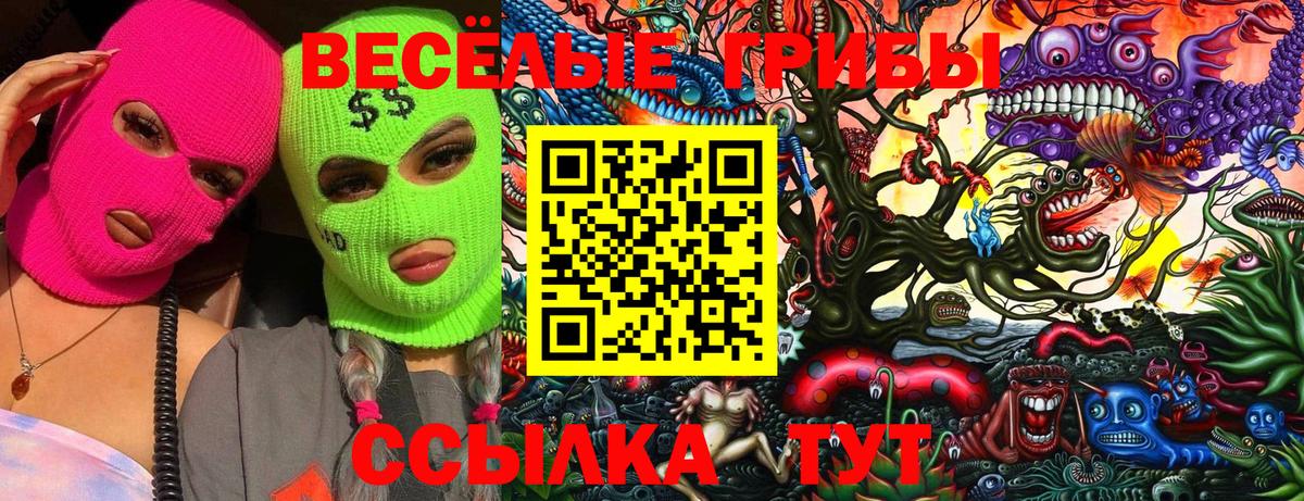Галлюциногенные грибы Cubensis Рузаевка